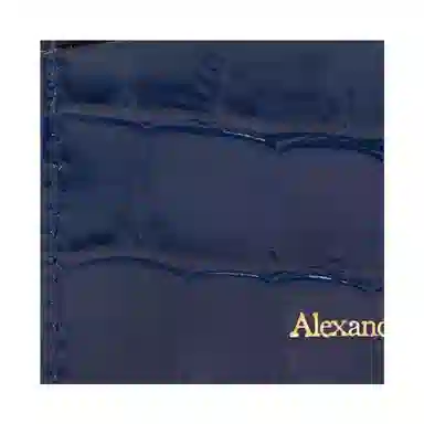 Alexander McQueen Skull
