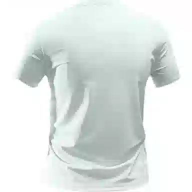 mula T
