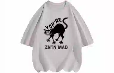 ZNTN LogoT