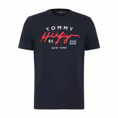 Tommy Hilfiger logoT