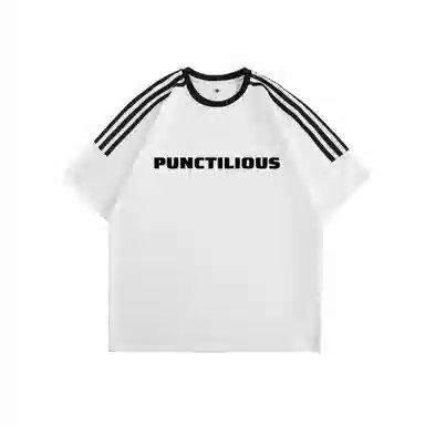 PUNCTILIOUS T