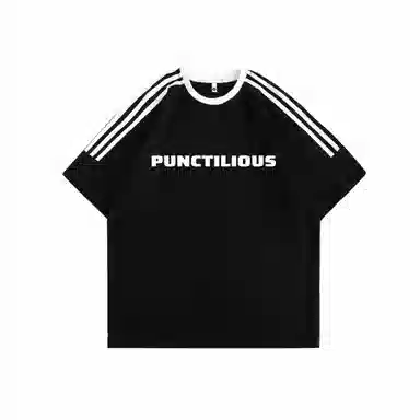 PUNCTILIOUS T