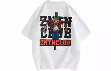 ZNTN T