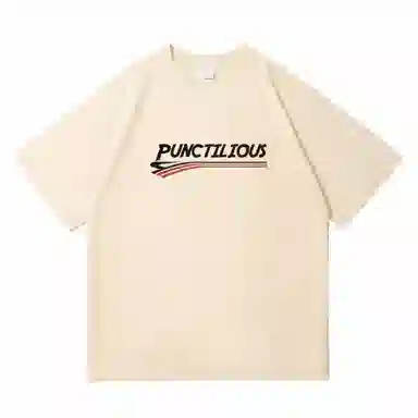PUNCTILIOUS T