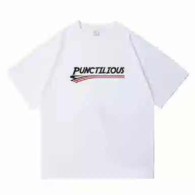 PUNCTILIOUS T