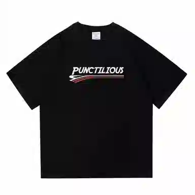 PUNCTILIOUS T