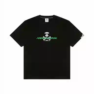 Aape T