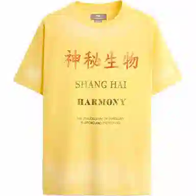 ZARA T