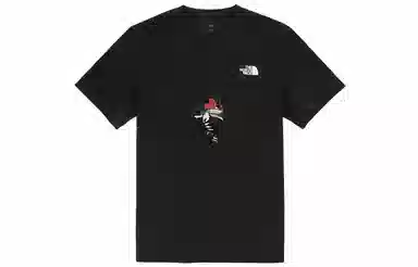 THE NORTH FACE YXYY T