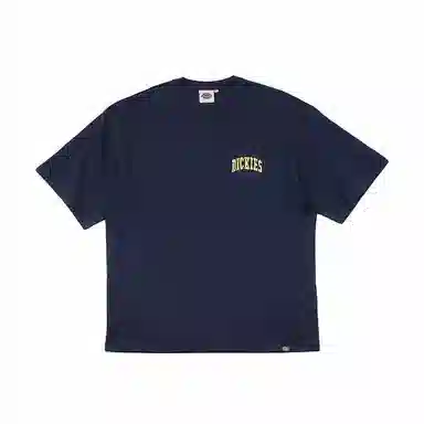 Dickies T DK012902B29