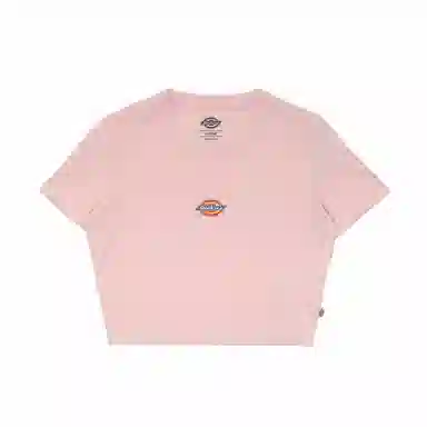 Dickies T DK012314B80