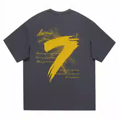 Lightning X Storm 7LogoT