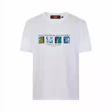 Cavalli Class T