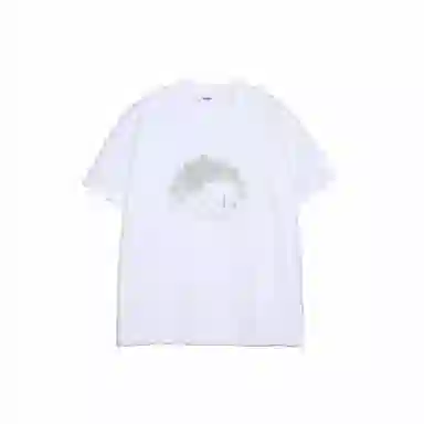 AFISHSTAY T