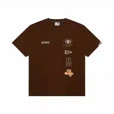 Aape T