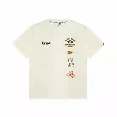 Aape T