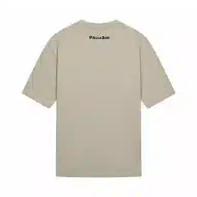 Palladium T