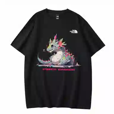 THE NORTH FACE T