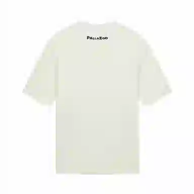 Palladium T