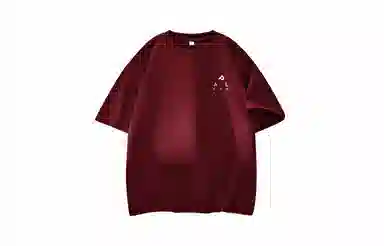 pallsupol T