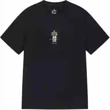361 T