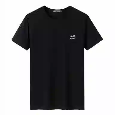 JEEP SPIRIT T