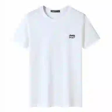 JEEP SPIRIT T