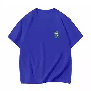 VERAF CA T