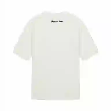 Palladium T