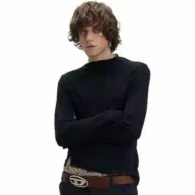 WHISTLEHUNTER T