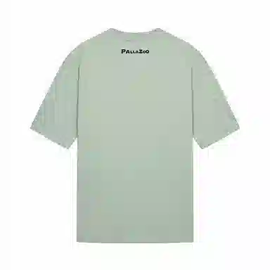 Palladium T