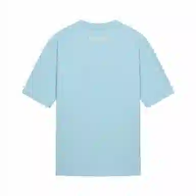Palladium T