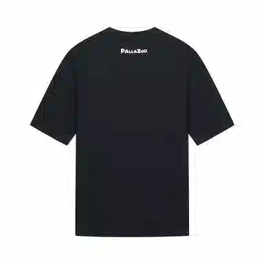 Palladium T