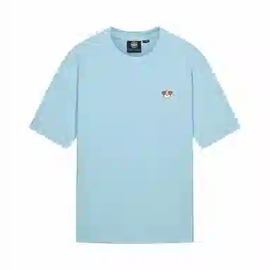 Palladium T