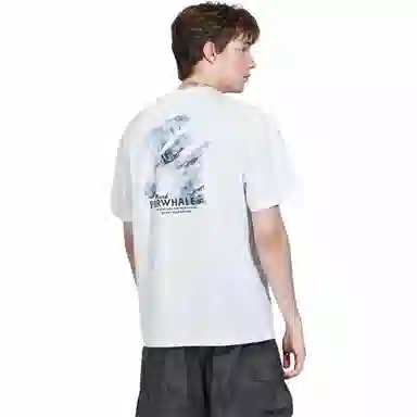 FAIRWHALE T