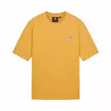 Palladium T