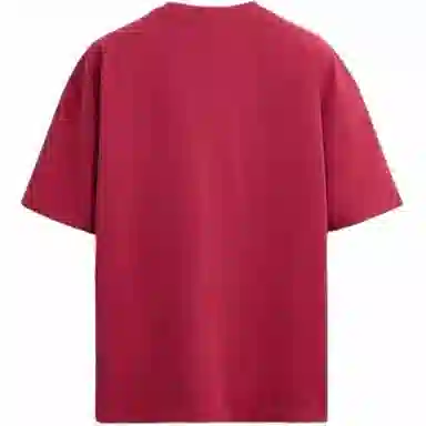 ZARA T