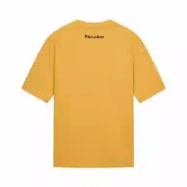 Palladium T
