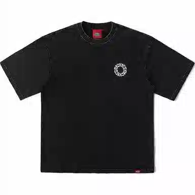 Dickies SS24 T