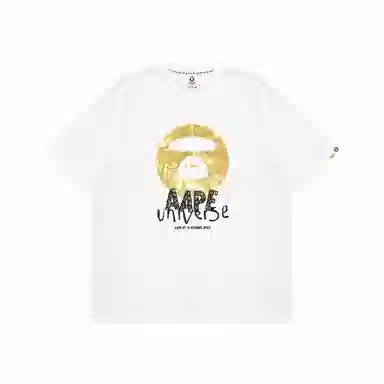 Aape T