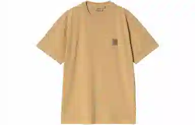 Carhartt WIP SS24 Garment-Dyed SS Nelson T-Shirt T