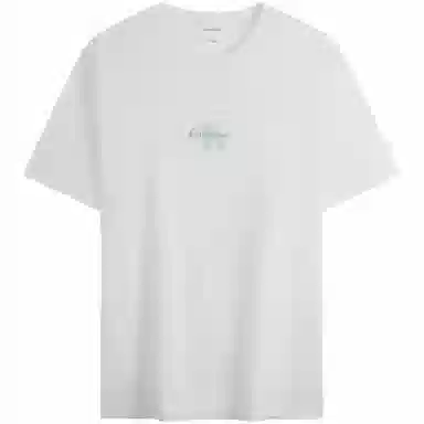 CALVIN KLEIN T