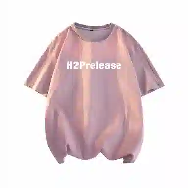H2P logoT