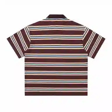 EVBD Polo