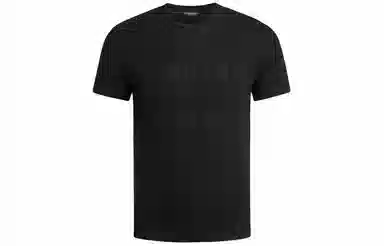 EMPORIO ARMANI SS24 LogoT