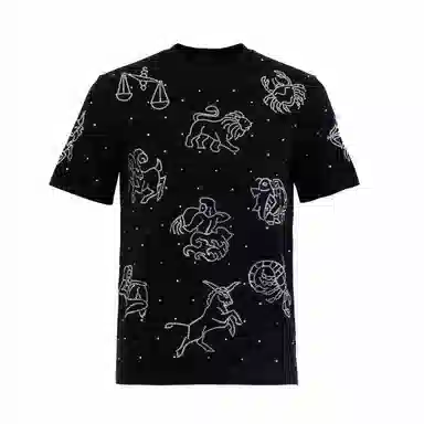 Ed Hardy SS25 T