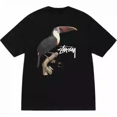 Stussy SS24 TOUCAN TEE T