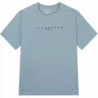 361 T