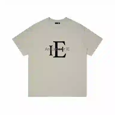 IE logoT