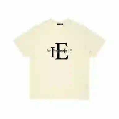 IE logoT
